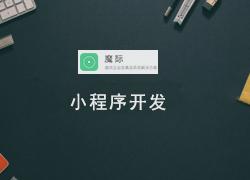 小程序开发工具支持真机调试